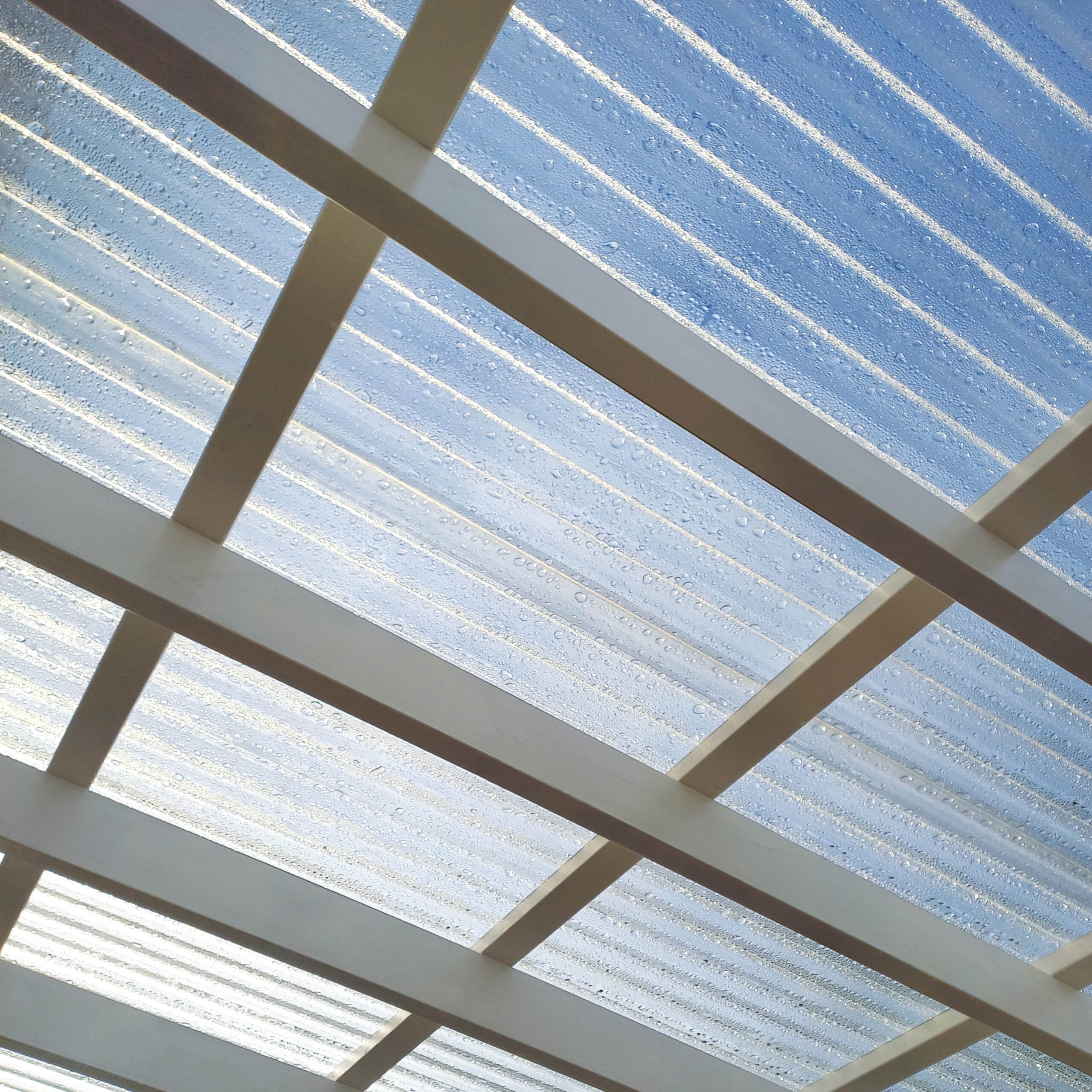 Halle Polysol - Billede 15